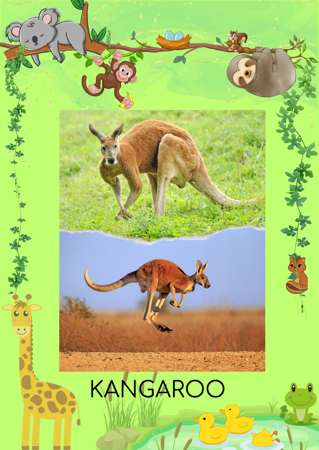 Animal 4 Front
